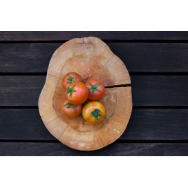 Tomate Salada  kg